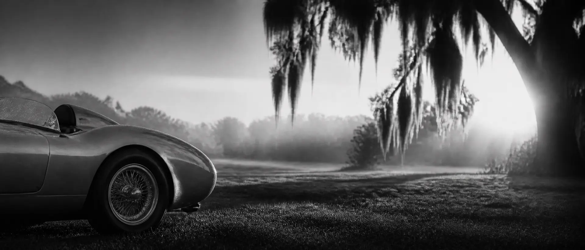 Black-and-white image of a 1950s sports racer on dew-heavy grass at sunrise, Spanish moss in the trees behind, the car’s haunch cropped at the left edge